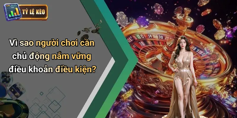 Điều Khoản Điều Kiện
