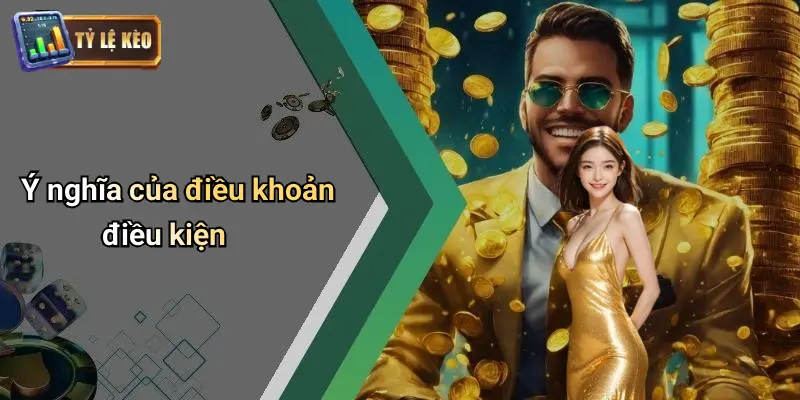 Điều Khoản Điều Kiện