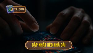 thumb - cập nhật kèo nhà cái