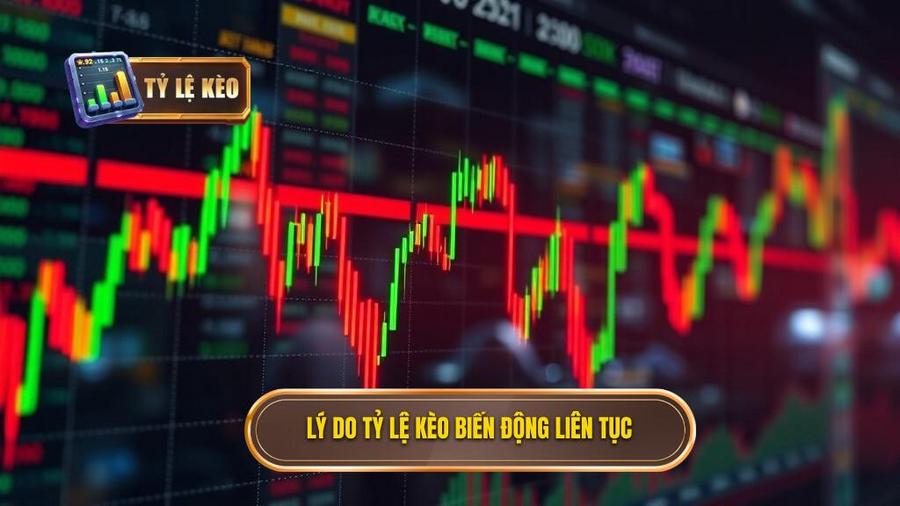 Tại sao tỷ lệ kèo biến động liên tục?