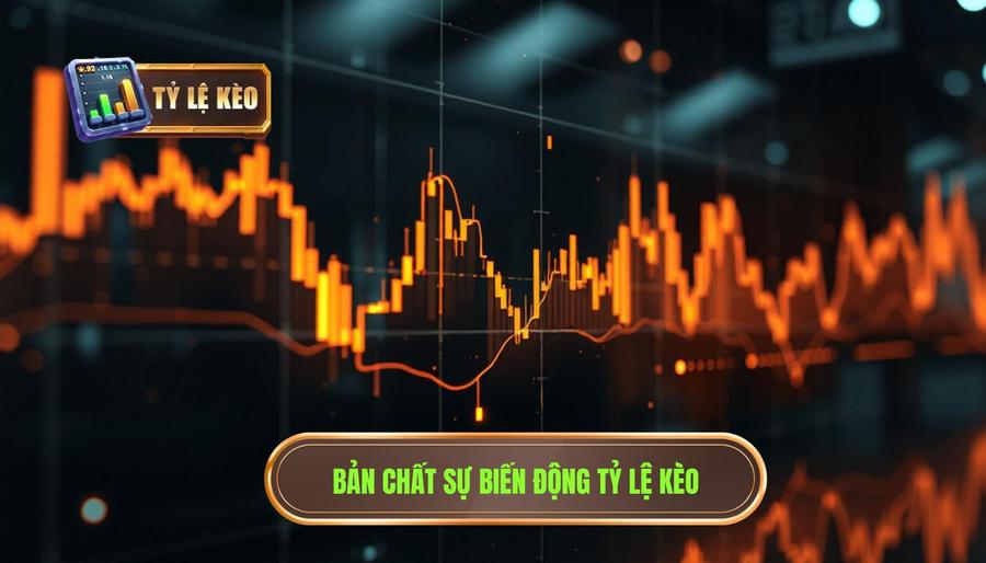 Hiểu về bản chất của sự biến động tỷ lệ kèo