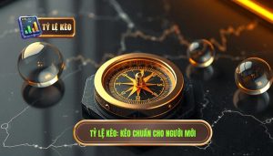 Kèo nào phù hợp cho người mới? Cẩm nang chọn kèo từ chuyên gia TỶ LỆ KÈO